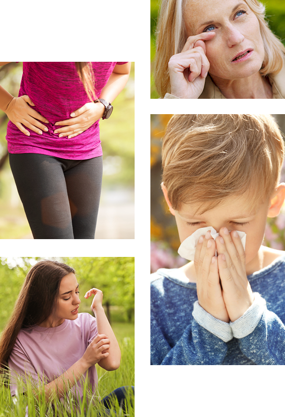 Tout savoir sur l'allergie Tout savoir sur l'allergie