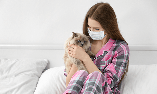 2. C’est par la salive que les chats peuvent nous transmettre des allergènes. 2. C’est par la salive que les chats peuvent nous transmettre des allergènes.