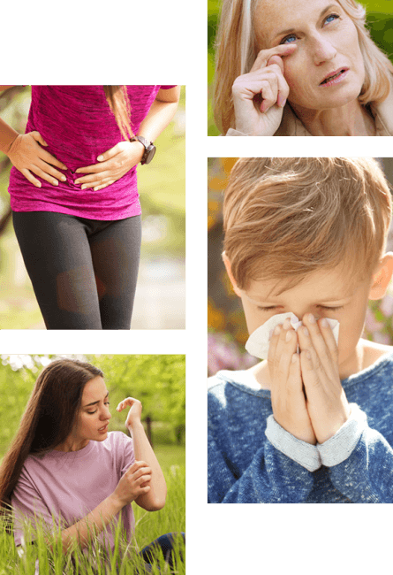 Tout savoir sur l'allergie Tout savoir sur l'allergie